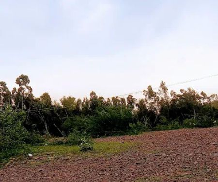 Allama Iqbal model school