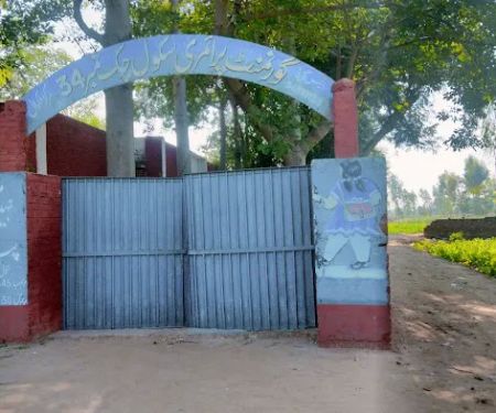 Government primary school 34chak