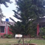 GPI EKKA GHUND
