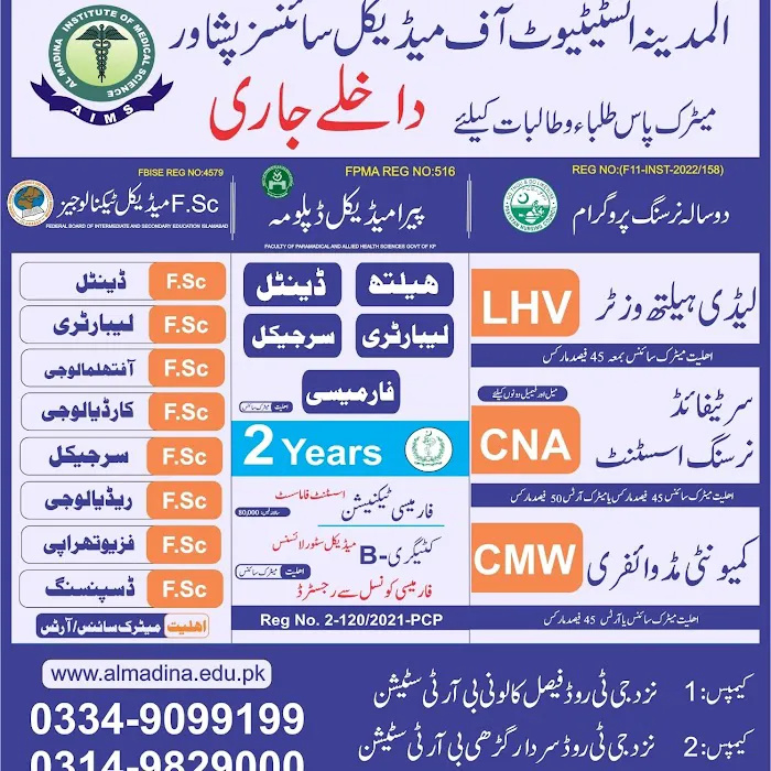ALMADINA INSTITUTE OF NURSING AND ALLIED HEALTH SCIENCES Picture 2