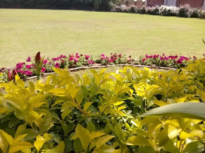 Gandhara University Picture 3