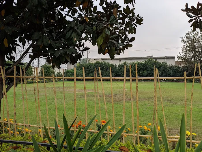 Gandhara University Picture 5