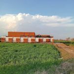 Govt. Primary school kacha Daud khel
