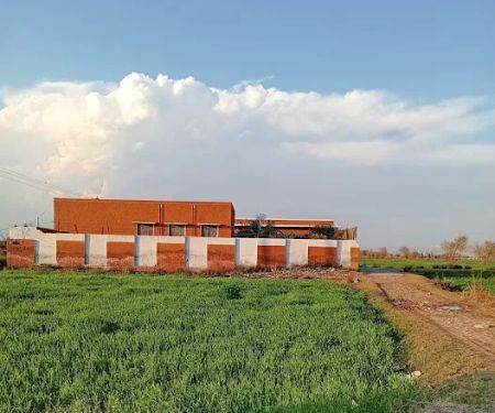 Govt. Primary school kacha Daud khel