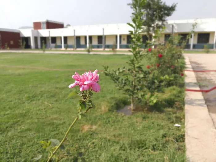 Government Degree College Kohi Sher Haider, Khyber Picture 3