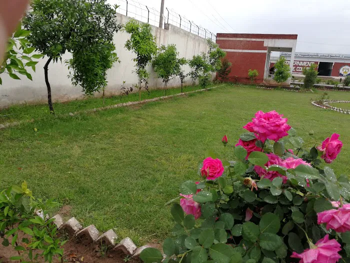 Government Degree College Kohi Sher Haider, Khyber Picture 9