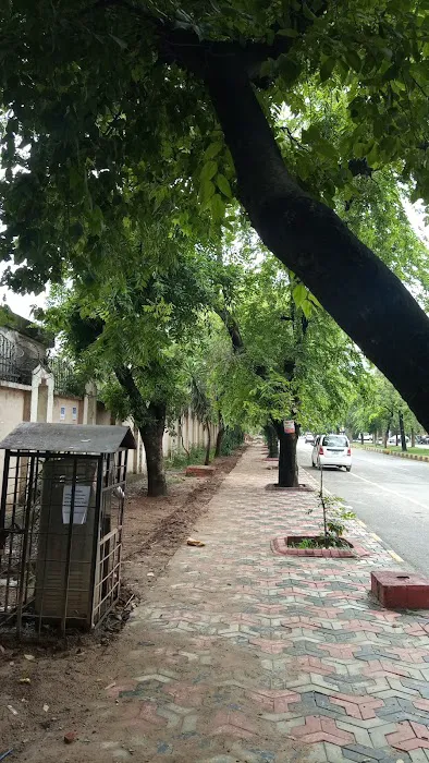 Federal Government College for Women Picture 1