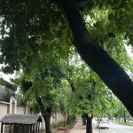 Federal Government College for Women
