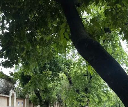 Federal Government College for Women