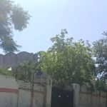 Islamabad Model College for Girls ( Post Graduation) F-7/2 Center No1606