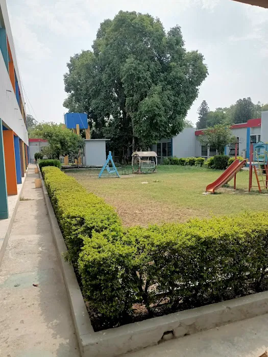 Islamabad Model College for Girls Picture 6
