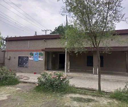 Government Primary School Deri Zardad No 2