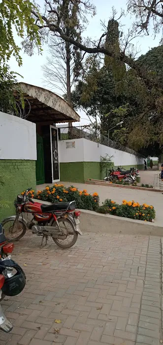 Islamabad Model College for Boys (VI-XII), G-6/2 Picture 9