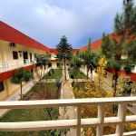 Department of Economics