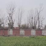 Government Girls Primary School Thikrian Ziarat