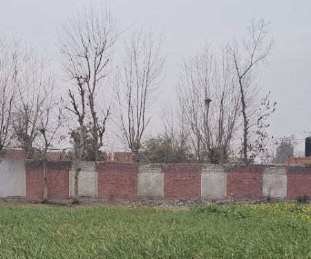 Government Girls Primary School Thikrian Ziarat