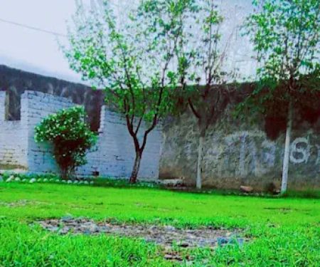 Shah dnan