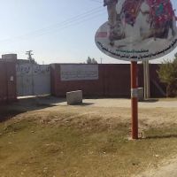 Govt Degree College for Women Wan Bhacharn ico