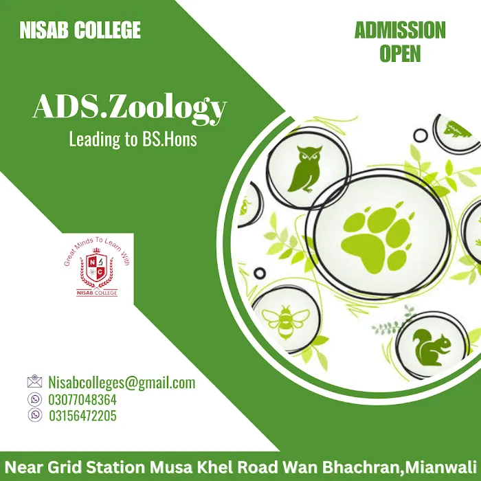 NISAB College Picture 3
