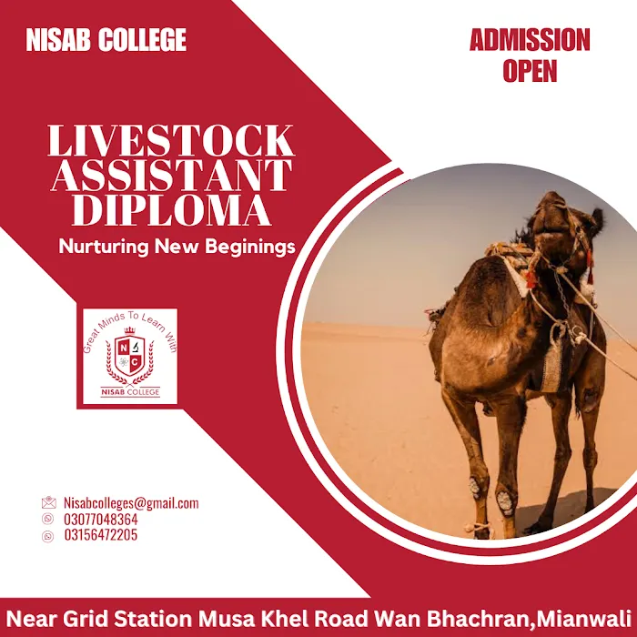 NISAB College Picture 4