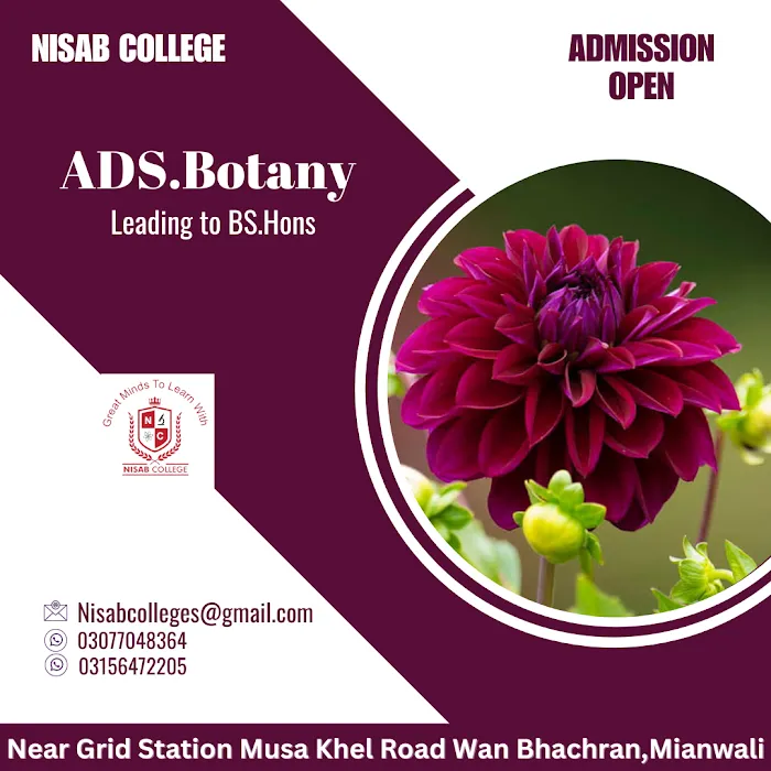 NISAB College Picture 6