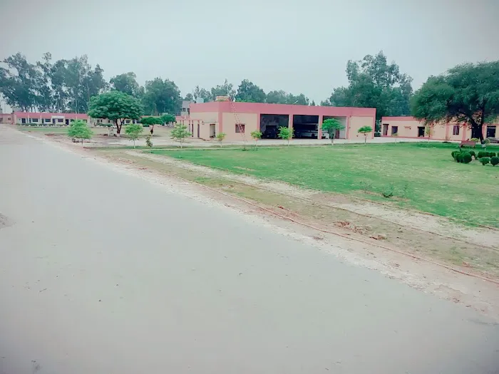 PMAS AAUR Sub Campas Khushab Picture 8