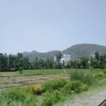 Pakistan Mardan Bakhshali