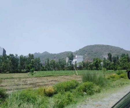 Pakistan Mardan Bakhshali