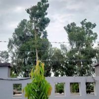 Aspire Group of Colleges, Jauharabad ico