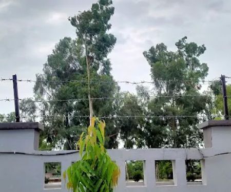 Aspire Group of Colleges, Jauharabad