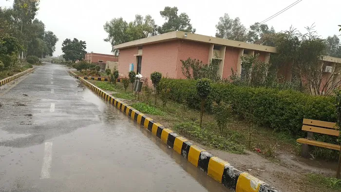 University Of Education Lahore, Jauharabad Campus Picture 7