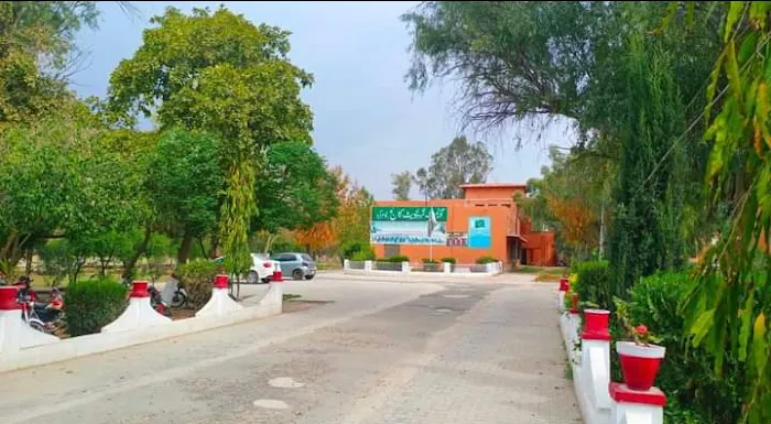 Government Post Graduate College Jauharabad Picture 1