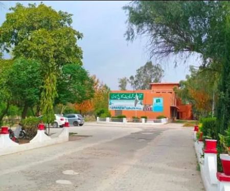 Government Post Graduate College Jauharabad
