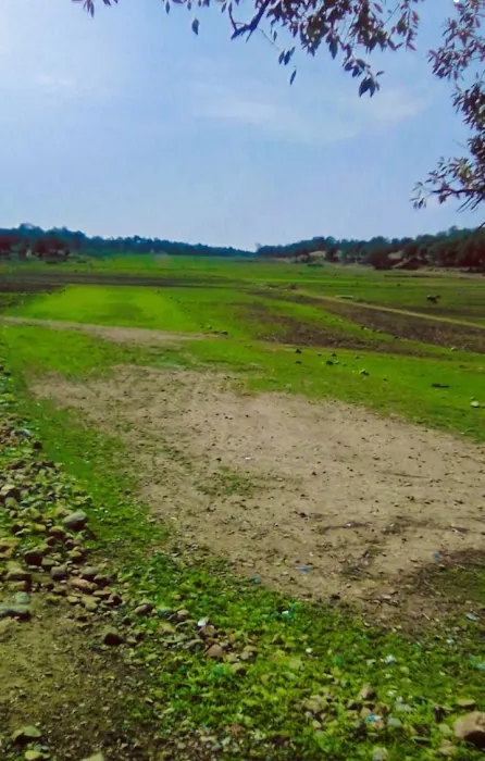 Chapri Naryab Picture 6