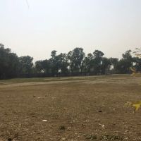 Superior College Wazirabad ico