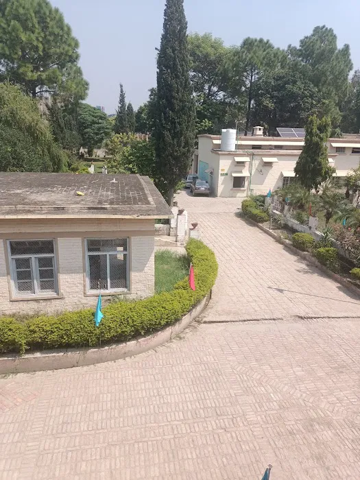 Superior College Wazirabad Picture 5