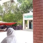 Government Associate College for Women