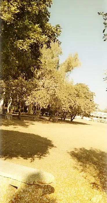 Government Associate College for Women Picture 8