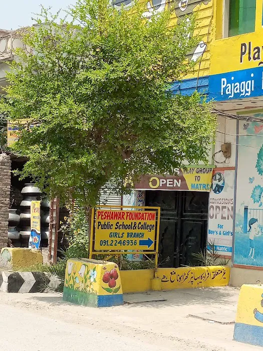 Peshawar Foundation Public School & College Picture 4