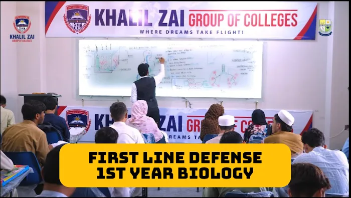 Khalil Zai Group of Colleges Picture 3