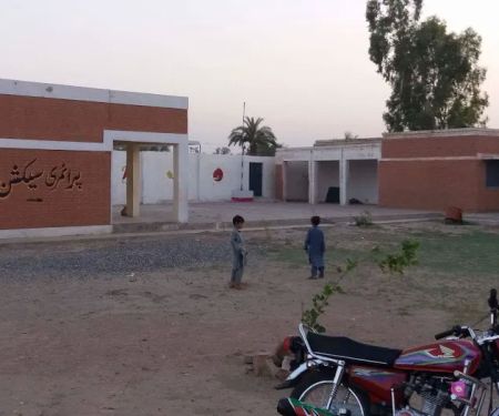 wali zar kala spina tangi patolkhel Domail