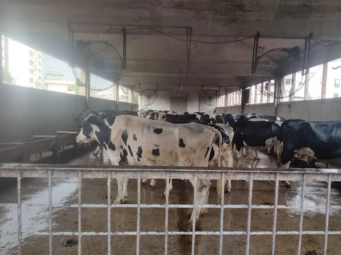 Livestock Research and Breeding farm Picture 1