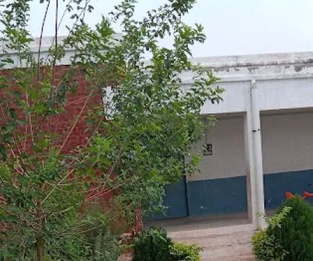 Government primary school Jalal Den