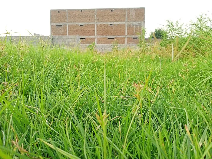 The Quaid e Azam College for Boys Mardan Branch Picture 10