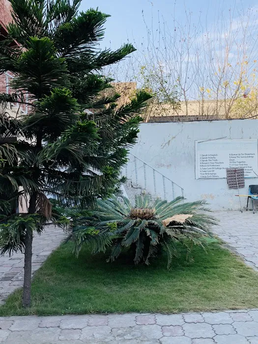 Gujrat college of nursing and allied health sciences Picture 4