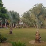 Home College for Girls