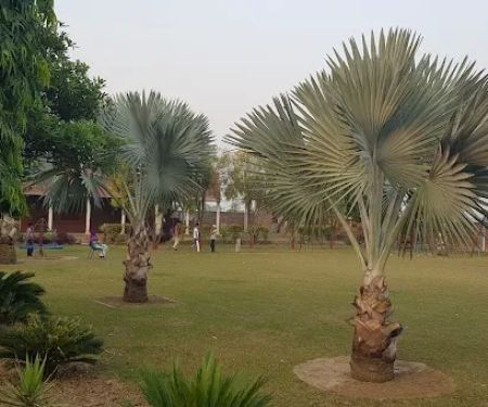 Home College for Girls