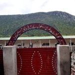 Government Primary School Safri Feroz Khel
