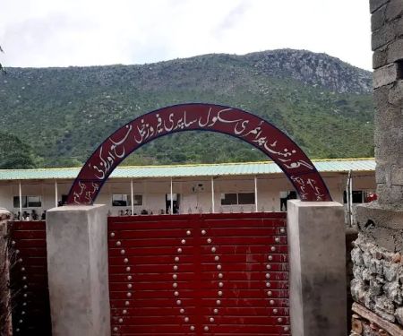 Government Primary School Safri Feroz Khel