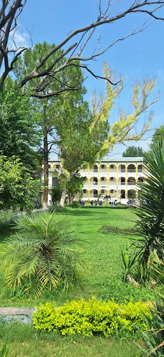 Islamabad Model College for Girls G-9/2 Picture 8